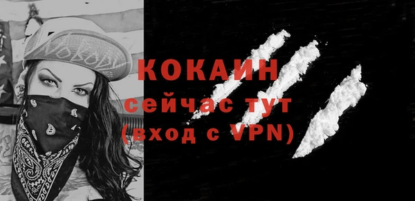 дмт Абаза