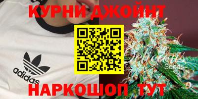 дживик Малгобек