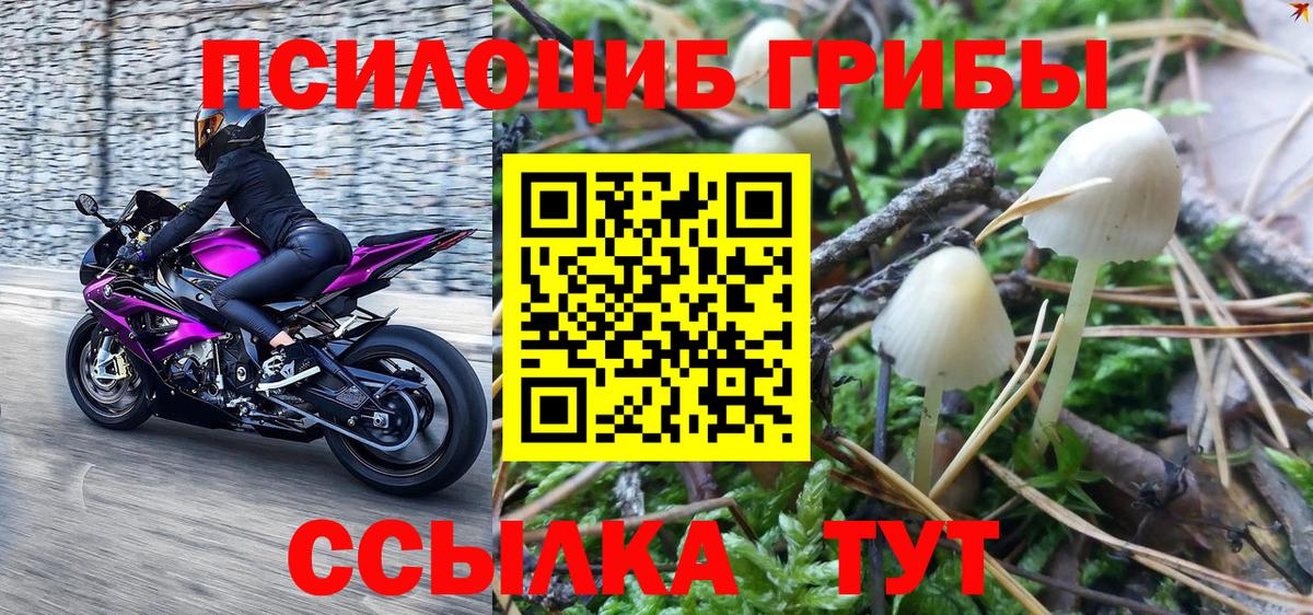 Галлюциногенные грибы Magic Shrooms  Вход с VPN  цены наркотик  Оренбург  Галлюциногенные грибы Magic Shrooms 